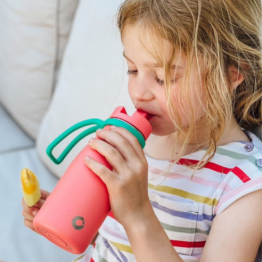 Onegreenbottle BOTL best Performing Water bottle with Straw